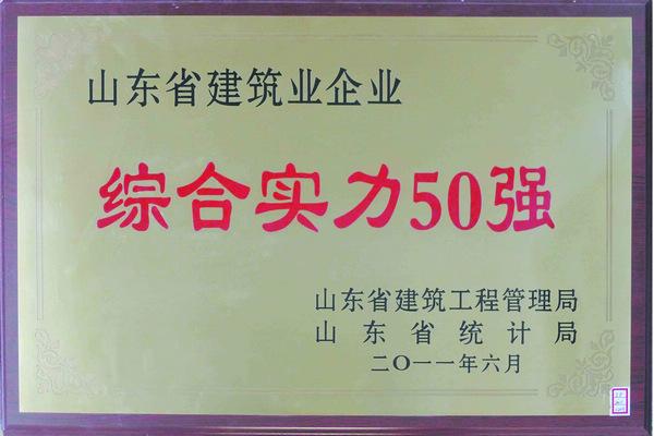 山東省綜合實力50強(qiáng)